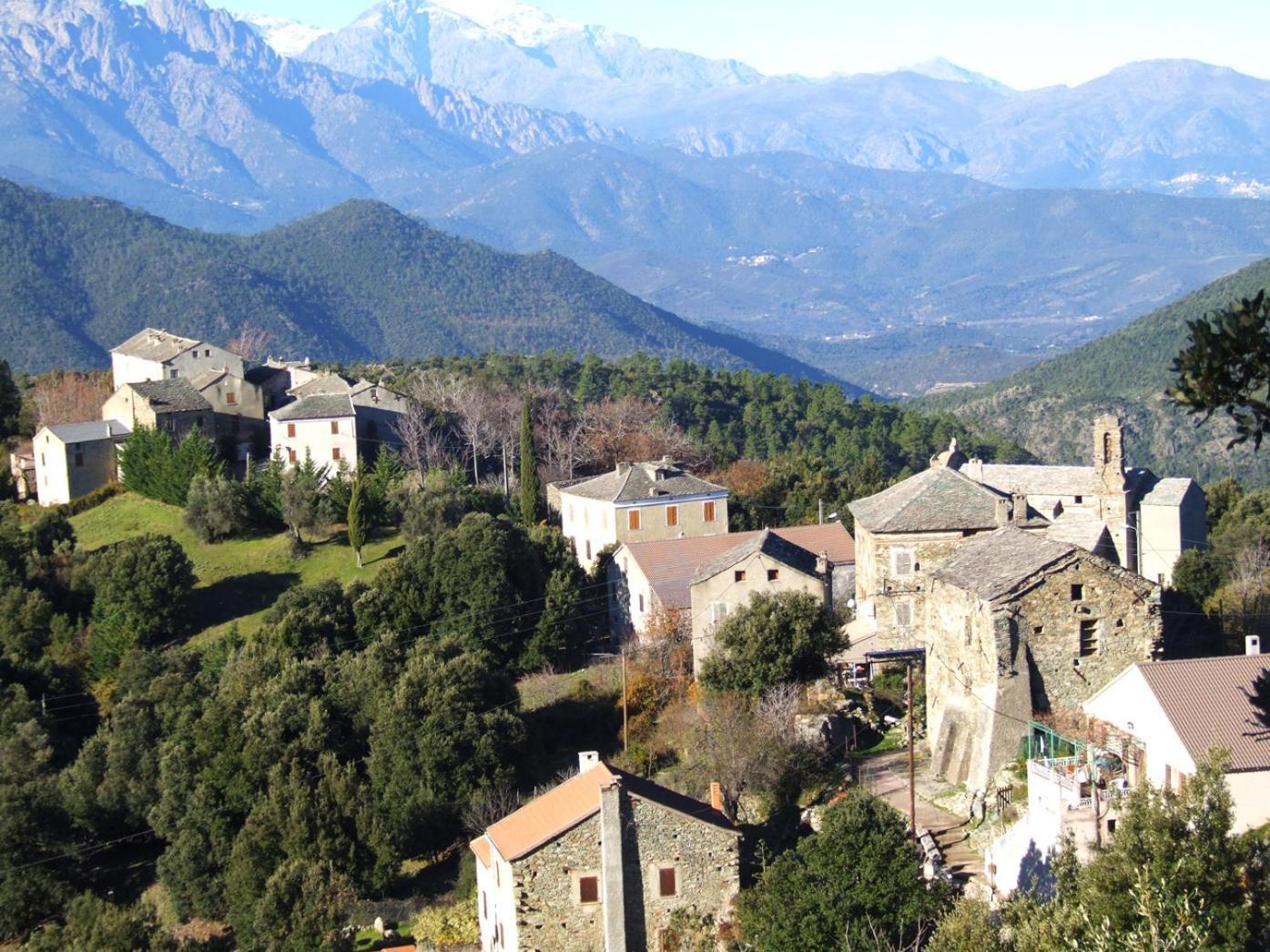 Authentique Maison De Village De Gavignano